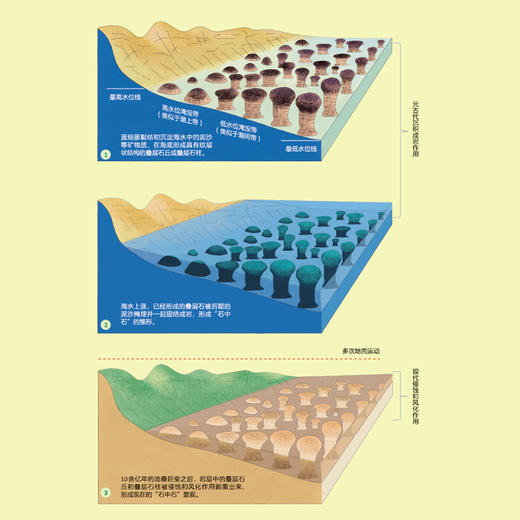 “科学原来这样学”系列（全10册） 商品图7