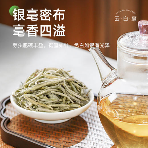 茶马世家丨茶博会金奖 白毫银针 云南白茶  特级 2023年 30g 袋装 商品图1
