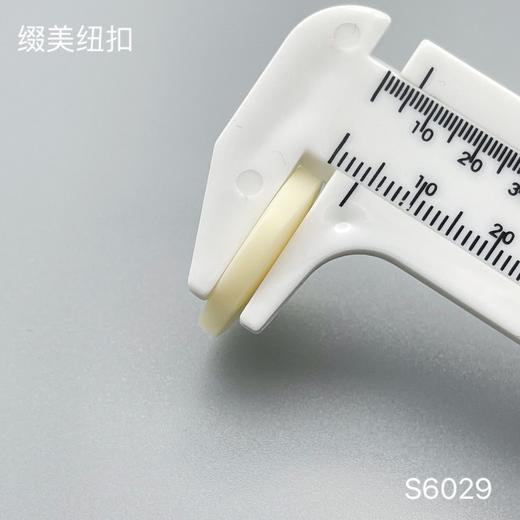 S6029(整包购买) 商品图3