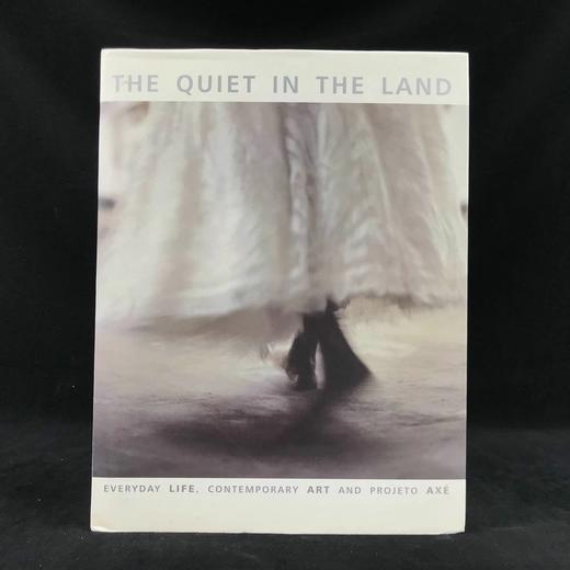 大地上的宁静 约百幅插图 精装大16开 商品图0