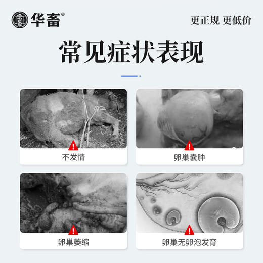 【社群专享】华畜兽药 戈那瑞林注射液2ml*10支 促发情 商品图1
