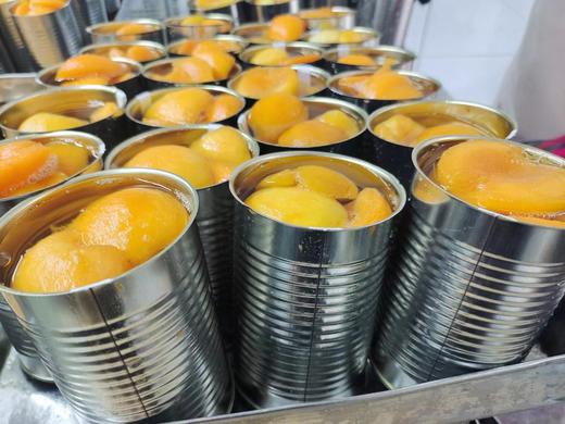 大连庄河特产 歇马杏罐头/歇马杏仁露/杏仁酒/杏饮料 原料采用庄河歇马杏制作 罐头荣获第十六届国际杏会议金奖 只发大连同城包邮，新老包装随机发货 商品图1