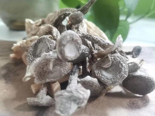 宜昌罐装鹿茸菇180G 商品图2