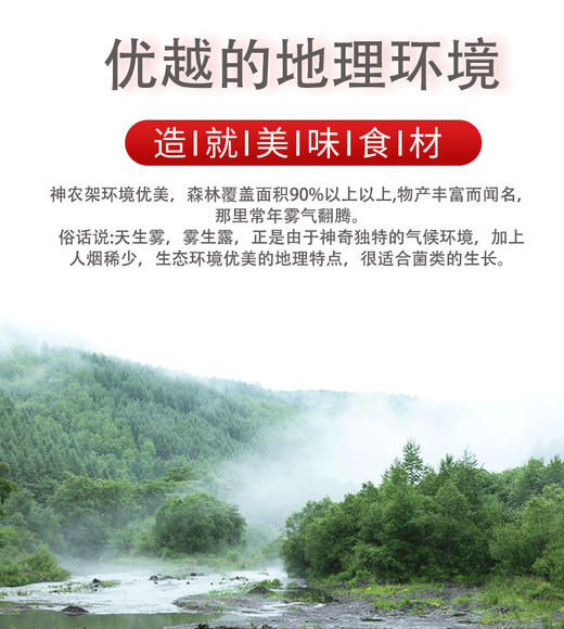 宜昌罐装神农架虫草花100G 商品图3