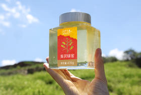  身体虚的人，一定不能错过它——高原药草蜂蜜：黄芪蜜 