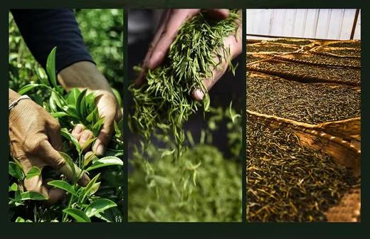 勐昌號岁月尊享 商品图7