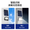 光耀二代/太阳能投光灯 商品缩略图1