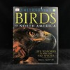DK北美鸟类手册 数千幅插图 精装16开 商品缩略图0