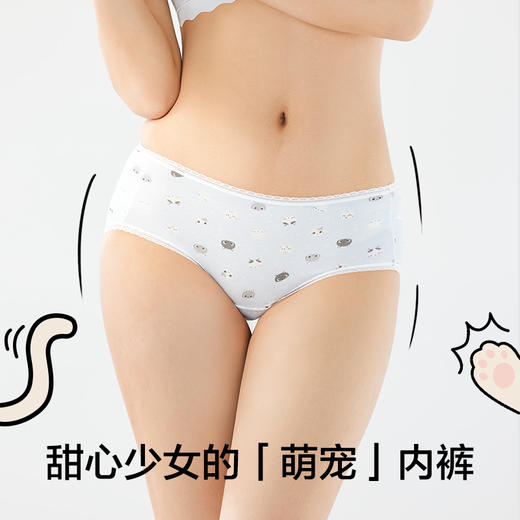 有棵树少女中腰蕾丝可爱印花女士内裤3条装C-U1012 商品图1
