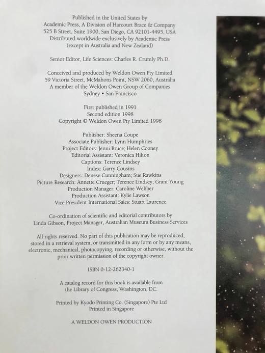 鸟类百科全书 350余幅彩色插图 精装大16开 商品图4