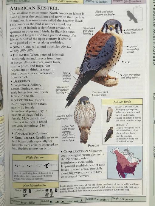DK北美鸟类手册 数千幅插图 精装16开 商品图6