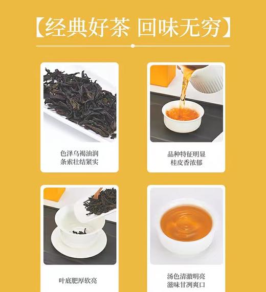 中茶坑涧肉桂（天心村） 商品图7