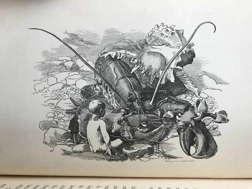 1895年 查尔斯·金斯利《水孩子》 100幅插图 漆布精装32开 商品图7