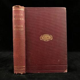 1895年 查尔斯·金斯利《水孩子》 100幅插图 漆布精装32开