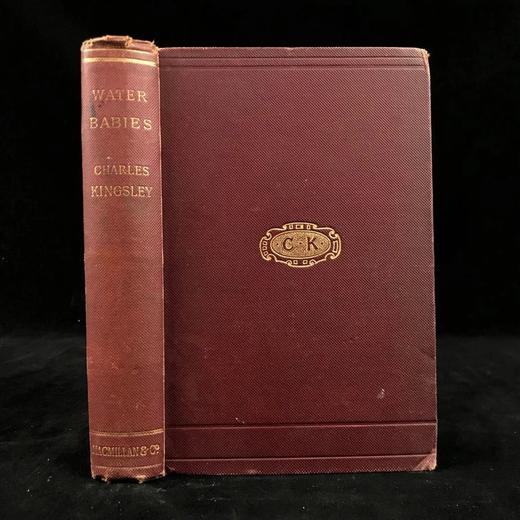 1895年 查尔斯·金斯利《水孩子》 100幅插图 漆布精装32开 商品图0