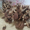 宜昌罐装茶树菇180G 商品缩略图1