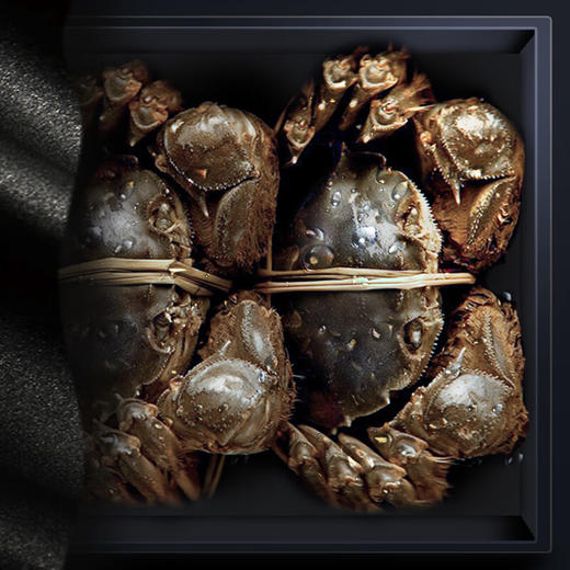 蟹太太  大闸蟹提货卡券  国潮888型 商品图4