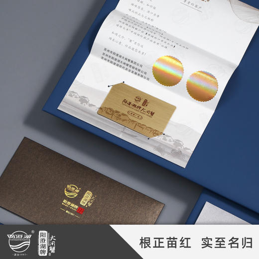 阳澄湖牌  大闸蟹礼券  真情永伴型 商品图1
