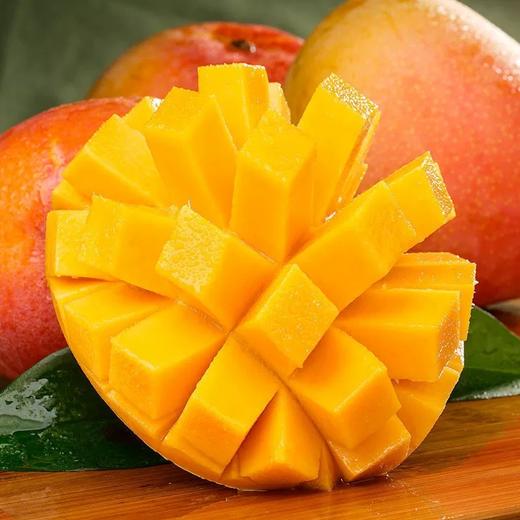 热农芒果  1000g/份（核小肉厚 ，芒果味十足） 商品图2
