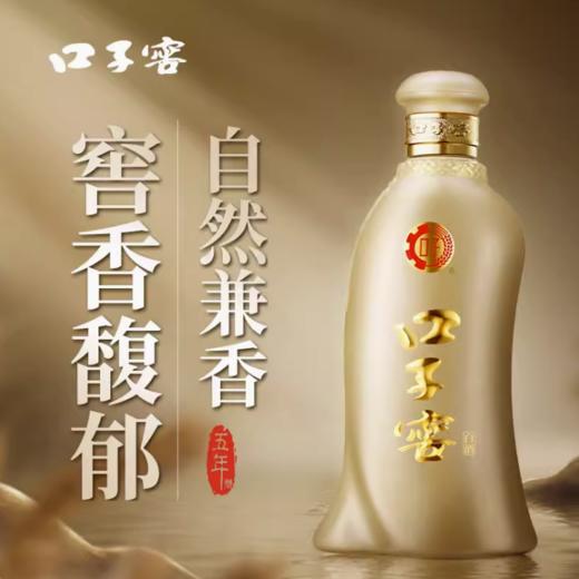 口子窖 五年型40.8° 400ml*4瓶整箱【BC】【QC】 商品图2