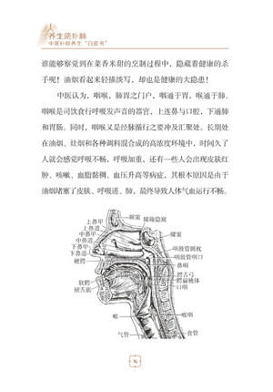 养生须补肺（健康长寿的要诀，防霾养肺科普知识）【樊新荣、辛宝】 商品图2