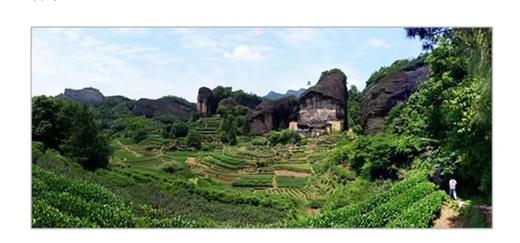 中茶峰岩肉桂（马枕峰） 商品图7