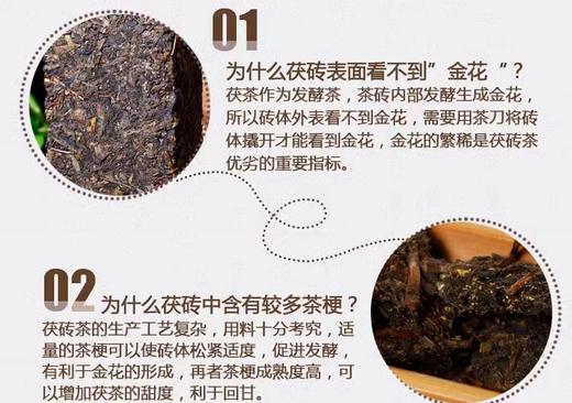 经典茯茶礼盒   经典400克茯茶 商品图5