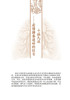养生须补肺（健康长寿的要诀，防霾养肺科普知识）【樊新荣、辛宝】 商品缩略图1