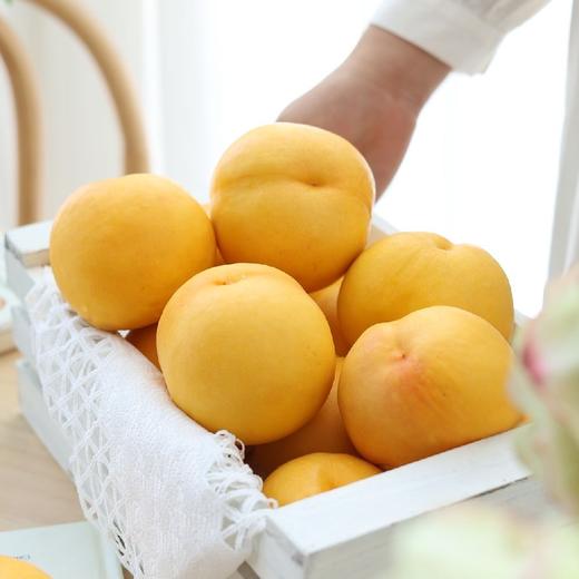 芒芒桃 油桃 商品图6