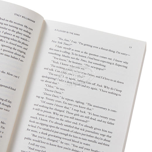 预售 【中商原版】黑暗中的闪烁 A Flicker in the Dark 英文原版 Stacy Willingham 商品图3