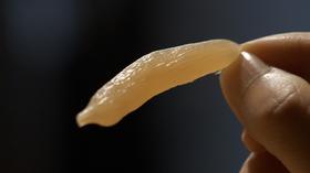 草木知识 | 生命密码之β-谷甾醇