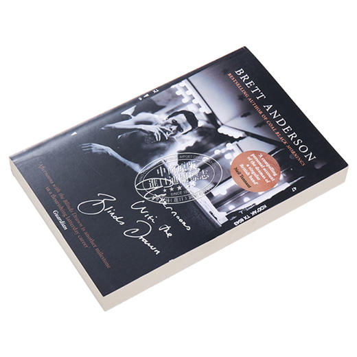 预售 【中商原版】拉下百叶窗的午后 英文原版 Afternoons with the Blinds Drawn Brett Anderso 商品图2