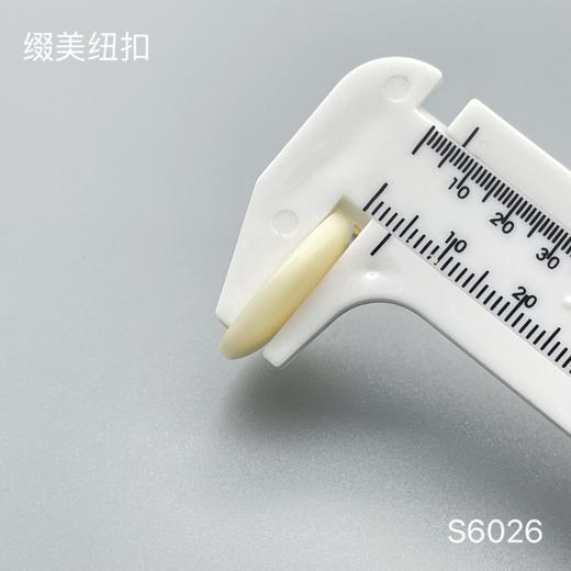 S6026(整包购买) 商品图3