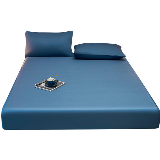 【床笠中的天花板】双面床笠  四季通用床罩 床垫保护罩防尘防滑床单 亲肤舒适AB两面可用 商品图4