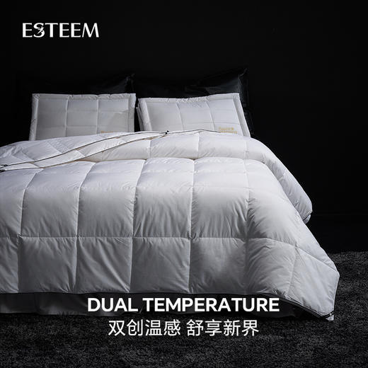 双温双感365D鹅绒两件套（春秋+夏） 商品图2