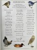 DK北美鸟类手册 数千幅插图 精装16开 商品缩略图5