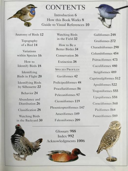 DK北美鸟类手册 数千幅插图 精装16开 商品图5