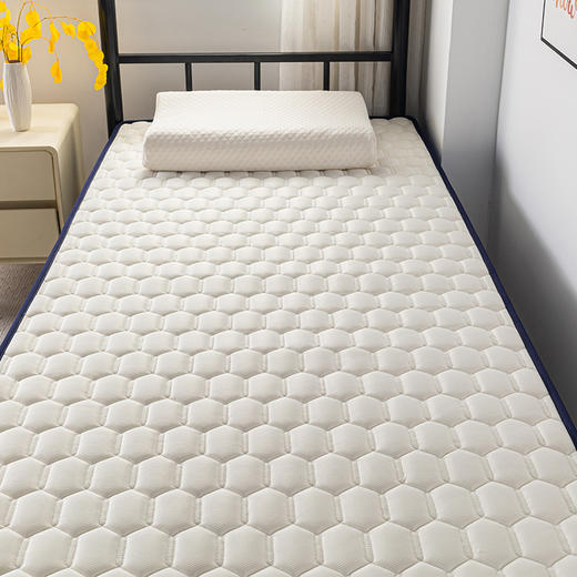 多喜爱美眠康  哈森乳胶记忆棉床垫5CM XS/S/L/XL四码齐全 商品图3
