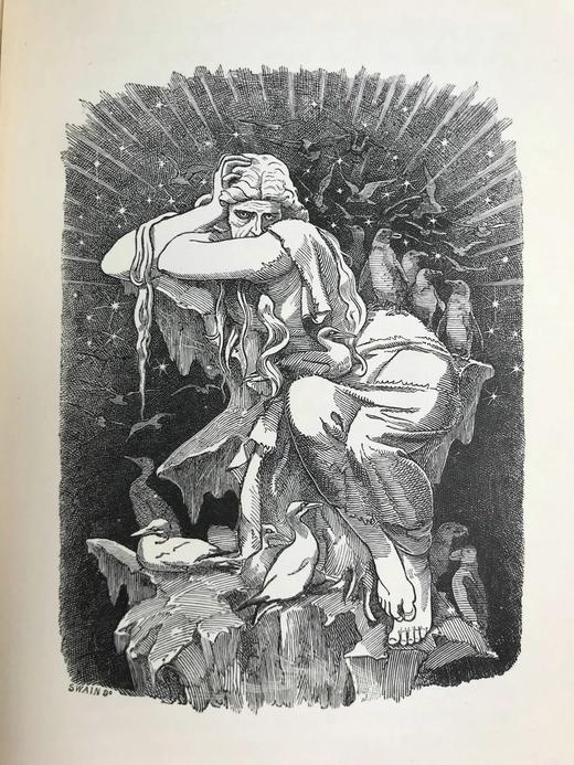 1895年 查尔斯·金斯利《水孩子》 100幅插图 漆布精装32开 商品图10