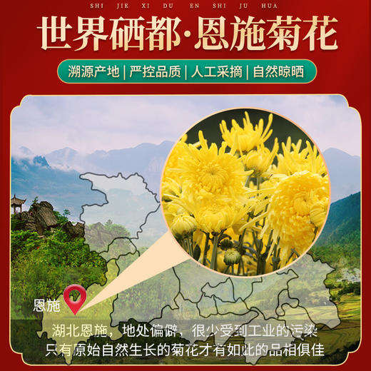 恩施硒富菊花15g/盒 商品图3