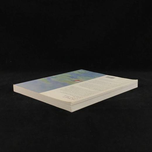 莫奈二十世纪画集 92幅彩色插图 部分为拉页可展开插图 平装大16开 商品图2