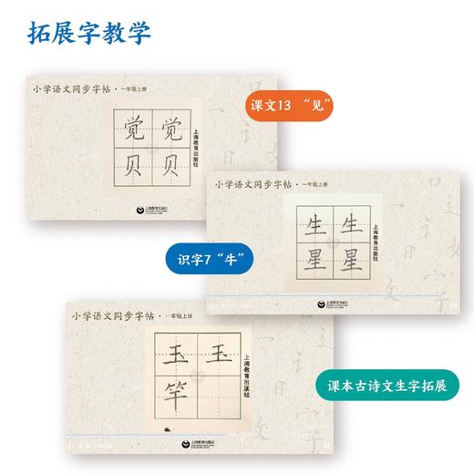 小学语文同步字帖（合辑） 商品图4