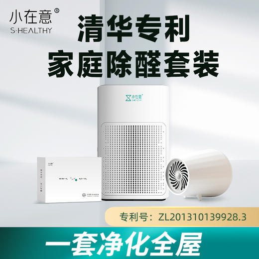 小在意除醛套装新房家用除醛机吸甲醛异味空气净化器除甲醛活性锰 商品图0