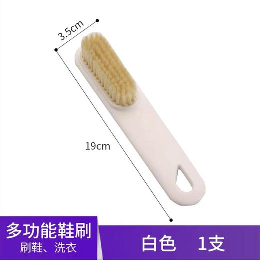 鞋刷洗衣刷家用刷子衣服塑料鞋子洗鞋软毛多功能专用清洁板刷鞋刷神器颜色随机1支 商品图2