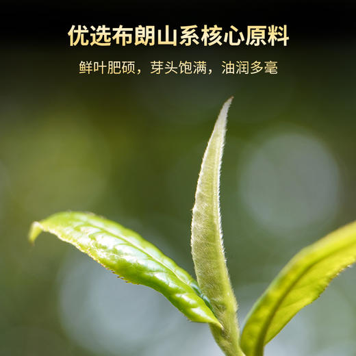 澜沧古茶 2023年孔雀壹号普洱生茶大饼357g 商品图2