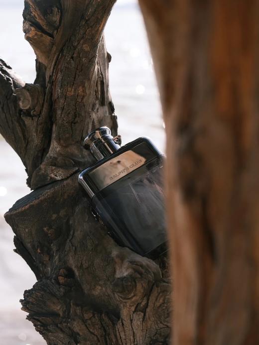 Ralph Lauren/拉夫劳伦肖战俱乐部男士淡香精香水50ML木质香调 商品图2