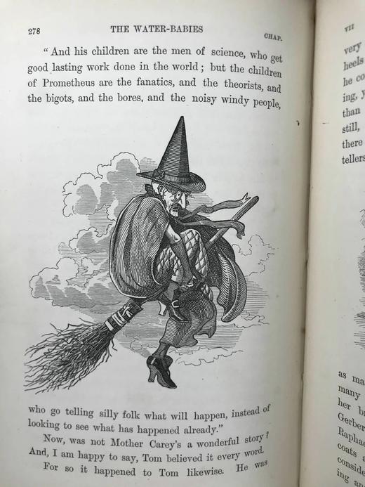 1895年 查尔斯·金斯利《水孩子》 100幅插图 漆布精装32开 商品图9