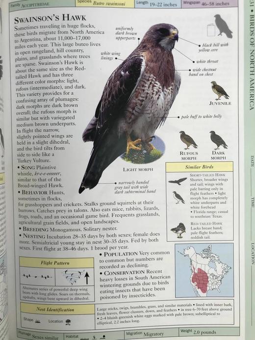 DK北美鸟类手册 数千幅插图 精装16开 商品图9