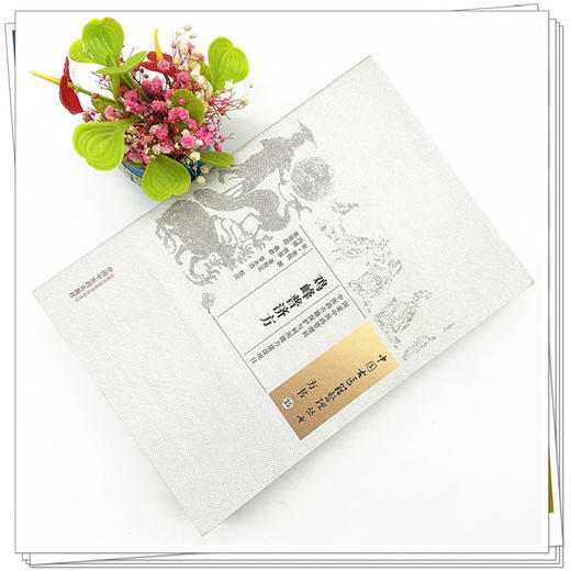 鸡峰普济方（中医古医籍整理丛书）宋·张锐撰 中国中医药出版社 方书35 商品图1