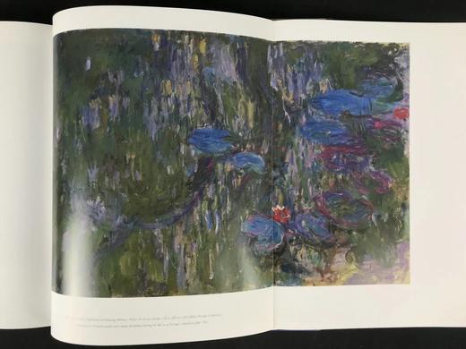 莫奈二十世纪画集 92幅彩色插图 部分为拉页可展开插图 平装大16开 商品图7